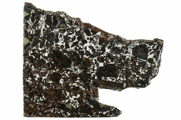 Polished Admire Pallasite Meteorite ( g) Slice - Kansas #307345